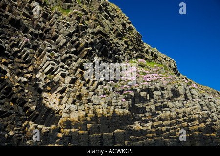 Contorte strati di basalto sull isola di Staffa Ebridi Interne Argyll Scotland Regno Unito Regno Unito Gran Bretagna GB Isole britanniche Foto Stock