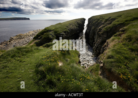 Geo ingresso e scogliere sul brough di birsay Isole Orcadi Scozia UK Foto Stock