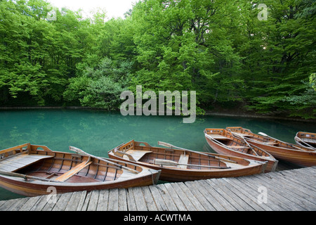 Svuotare le barche a remi nel Parco Nazionale di Plitvice Croazia Foto Stock