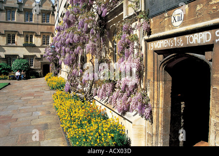 Jesus College Quad anteriore Foto Stock