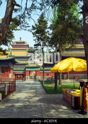 Il Tempio Puning in Chengde Foto Stock