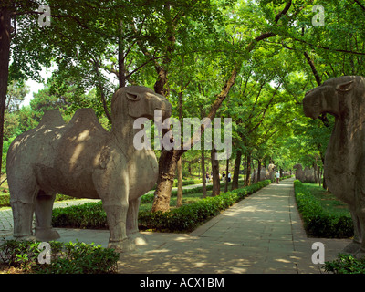 Statue stand guardia sul percorso verso la tomba Xiaoling in Ming Xiaoling Scenic Area, Nanjing, Cina Foto Stock