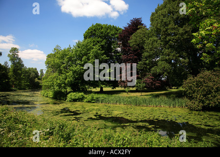 Giardini e il Lago di Syon Park Brentford London Inghilterra England Foto Stock