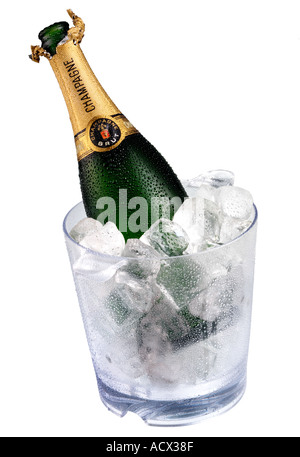 CHAMPAGNE nel secchiello del ghiaccio tagliata Foto Stock