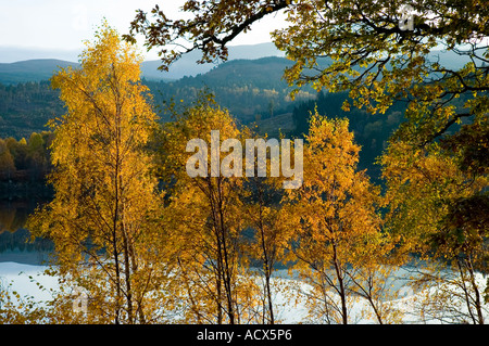 I colori autunnali sul Loch Garry, vicino a Invergarry, Scotland, Regno Unito Foto Stock