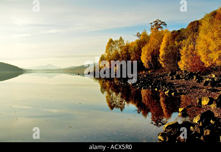 I colori autunnali sul Loch Garry, vicino a Invergarry, Scotland, Regno Unito Foto Stock