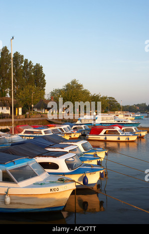 Oulton ampia su una mattina d'estate nel Suffolk Broads Foto Stock