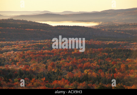 Il Perù VT rientrano nella montagna verde foresta nazionale vicino a Bromley Ski Area Foto Stock