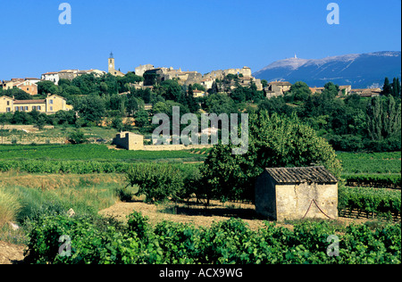 Villaggio di Faucon . Cotes du Rhone.Francia Foto Stock