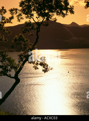 Barca solitaria sulla Derwent Water con cat campane e derwent fells oltre, parco nazionale del distretto dei laghi, cumbria, Inghilterra, Regno Unito. Foto Stock