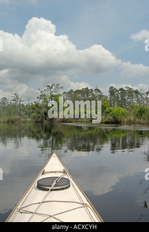 Fare kayak in canna Bayou vicino a New Orleans in Louisiana Foto Stock