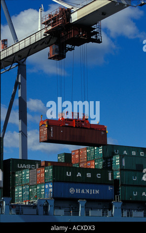 Contenitore caricamento in un porto Foto Stock