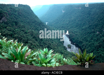 Valle a Kaieteur Falls fiume Potaro Guyana America del Sud Foto Stock