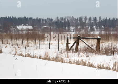 Campo nevoso e barbwire recinto con un cancello durante l'inverno in campagna a Kirkkonummi, Finlandia, UE. Foto Stock