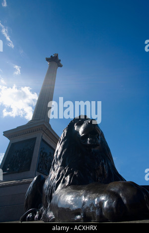 Nelson's Nelsons Column con Lion nel sole con cielo blu Trafalgar Square Londra Inghilterra Regno Unito Regno Unito GB Foto Stock