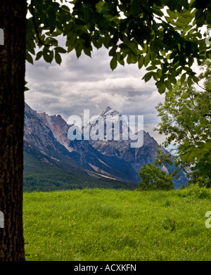 Il monte Antelao da Cortina d'Ampezzo, Dolomiti, Italia Foto Stock