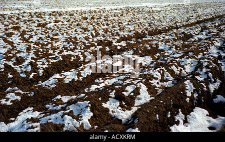 Il campo coperto di neve, Wroclaw, Polonia Foto Stock