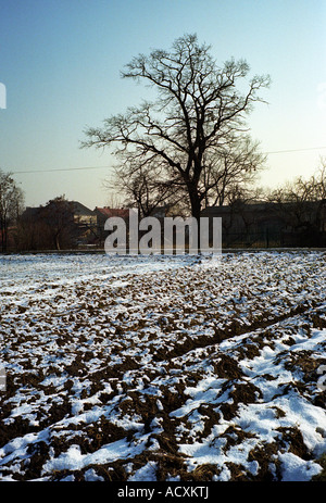 Il campo coperto di neve, Wroclaw, Polonia Foto Stock