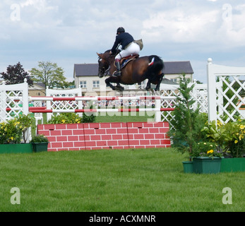 Show Jumping al grande spettacolo dello Yorkshire, Harrogate, North Yorkshire Foto Stock