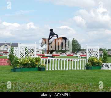 Show Jumping al grande spettacolo dello Yorkshire, Harrogate, North Yorkshire Foto Stock