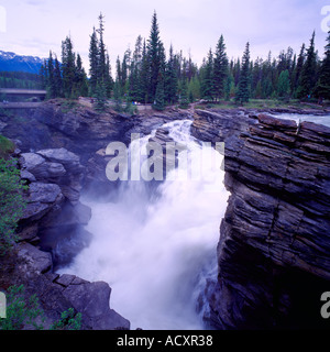 Cascate Athabasca e il fiume lungo la Icefields Parkway, Jasper National Park, Canadian Rockies, Alberta, Canada Foto Stock
