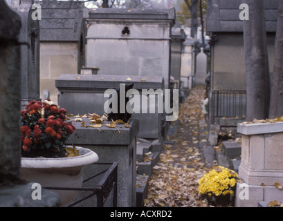 Gatto nero seduto sulla pietra tombale nel cimitero Foto Stock