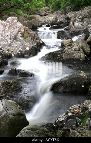 Cascate sul fiume Gamlan che alimenta la Afon Mawddach nel Parco Nazionale di Snowdonia nel Galles del Nord Foto Stock
