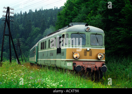 Un treno nei monti Bieszczady, Polonia Foto Stock