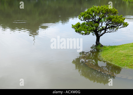 Il Sankei-en (tre insenature giardino), Yokohama JP Foto Stock