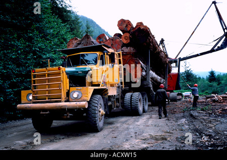 I registri di carico su un carrello di registrazione nel nord della Columbia britannica in Canada Foto Stock