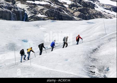 Passeggiata guidata sul ghiacciaio Nigardsbreen nel Jostedalsbreen Parco Nazionale di lucentezza Sogn og Fjordane Norvegia Foto Stock