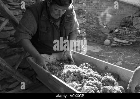 L annuale la macellazione del maiale fatto nel modo tradizionale Pirenei Spagna Foto Stock