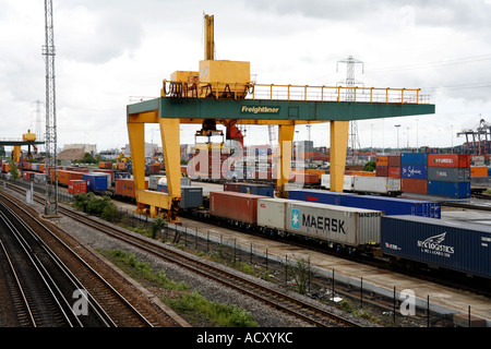 Rotaia montata con gru contenitori dai carrelli ferroviari sul carrello a Southampton Docks, Inghilterra. Foto Stock