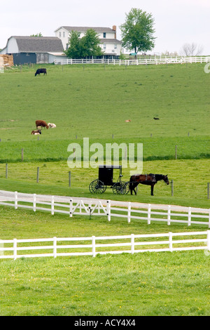 Fattoria Amish con cavallo e buggy nei pressi di Berlino, Ohio. Foto Stock