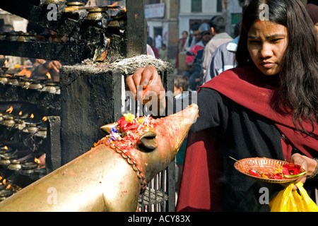 Giovane donna fare un offerta per il ratto.it è il veicolo di Ganesh. Ashok Binayak Tempio. Durbar Square. Kathmandu. Il Nepal Foto Stock