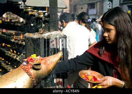 Giovane donna fare un offerta per il ratto.it è il veicolo di Ganesh. Ashok Binayak Tempio. Durbar Square. Kathmandu. Il Nepal Foto Stock