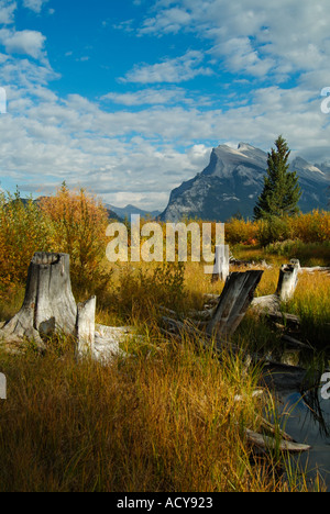 Mount Rundle visto dalla riva del secondo Vermillion Fenland Lago trail Canadian Rockies Alberta Canada Foto Stock