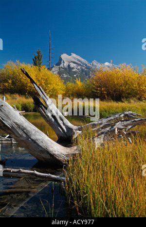 Mount Rundle affacciato su Banff township visto dalla riva di Laghi Vermillion Fenland trail Canadian Rockies Alberta Canada Foto Stock