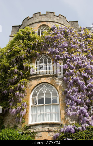 Il Glicine sulla parte esterna del Castello Hotel a Taunton Somerset Foto Stock