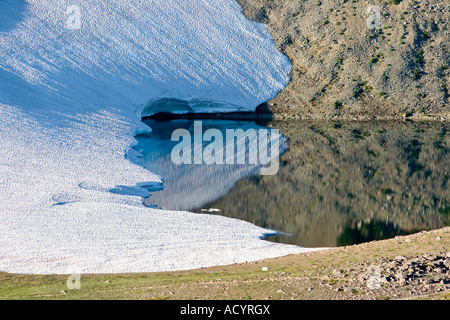 Lago ghiacciato di Mount Rainier Washington Stati Uniti d'America verso la fine di luglio 2007 Foto Stock