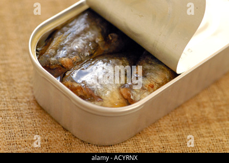 Sardine Foto Stock