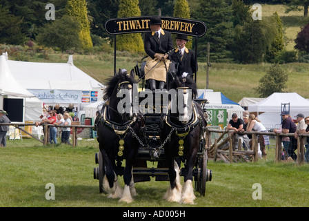 Birreria Thwaits Drayhorse e Draymen i vincitori a Bakewell Show 2007 nel Derbyshire "Gran Bretagna" Foto Stock