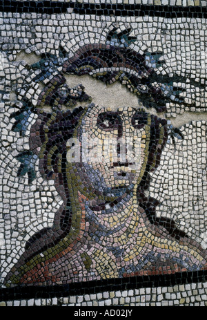 Piastrella mosaico, mosaico, mattonelle, piastrelle a mosaico, mosaici, dio della fertilità, fiume dio, Saint-Romain-en-Gal, Rhone-Alpes, Francia, Europa Foto Stock