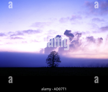 La mattina presto terra della nebbia sorge con le emissioni di un aumento di fabbrica in background, Foto Stock