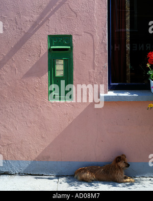 Anello caherciveen di kerrypost box su una parete di pub e un piccolo cane sdraiato sul marciapiede di una città irlandese, rurali irlandesi post box scatole, Foto Stock