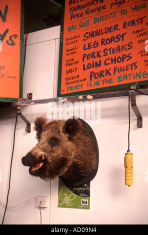 Farcite il cinghiale testa montata sulla parete del macellaio in stallo al di sotto di prodotti a base di suino segno a Borough Market, Londra, Inghilterra Foto Stock