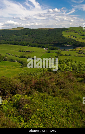 Vista di Shutlinsloe e Macclesfield foresta da Tegg del naso Macclesfield Cheshire Regno Unito Foto Stock