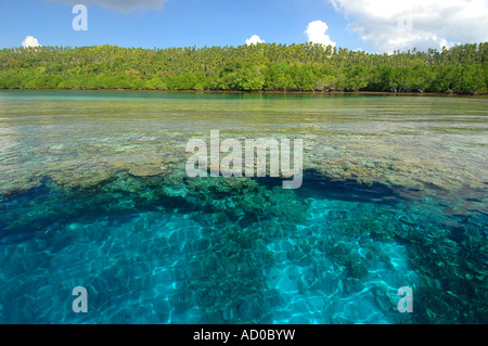 Siladen Indonesia, spiaggia tropicale, paradise, acque calme, relax, cielo blu, l'acqua turchese,Coral reef, reef tropicali, isola Foto Stock