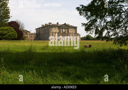 Dimora signorile dell'architettura classica del palladio divisa in appartamenti in terreni di parco e alberi maturi con pecore Jacob al pascolo sull'erba Foto Stock