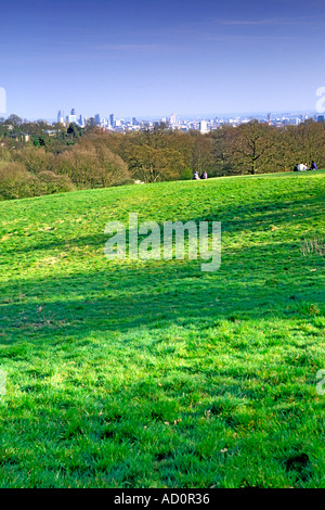 Una vista della skyline di Londra da Hampstead Heath nel nord di Londra. Foto Stock